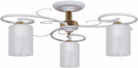 Потолочная люстра на штанге Reluce 00738-0.3-03 (220V)