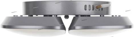 Потолочная люстра IDLamp Primula 307/4PF-LEDSilver