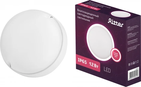 Настенно-потолочный светильник светодиодный Ritter 56025 8