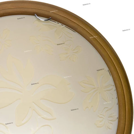 Настенно-потолочный светильник Toplight Jane TL9640Y-00OA
