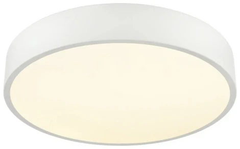 Потолочный светильник круглый светодиодный Velante 444-007-01 (220V, круглые)