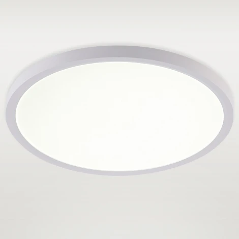 Потолочный светильник светодиодный 24W, белый Natali Kovaltseva Plain LED LAMPS 81113/3C
