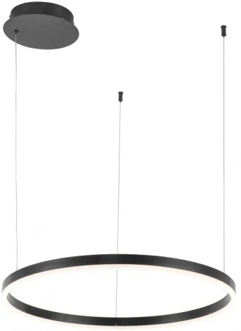 Подвесной светильник Stilfort Planetary 4005/02/01P (LED, 220V, пульт управления, на тросе, круглые, кольцо)