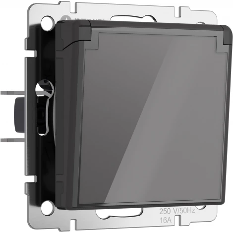 Розетка с заземлением с защит. крышкой и шторками (графит акрил) Werkel W1171244 (a064092)