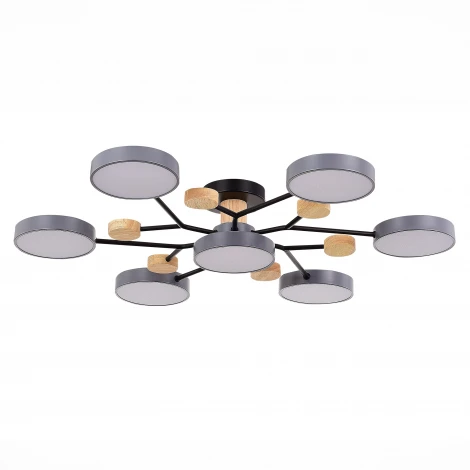 Потолочная люстра на штанге Evoluce Faema SLE6006-702-07