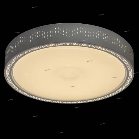 Потолочный светильник MW-Light Ривз 674012001