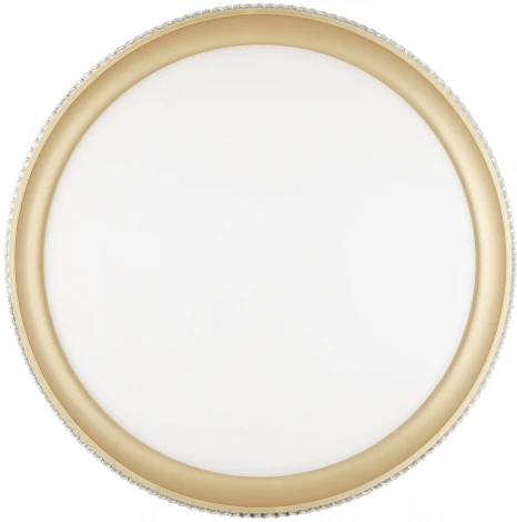 Настенно-потолочный светильник Sonex Shiny 3054/EL