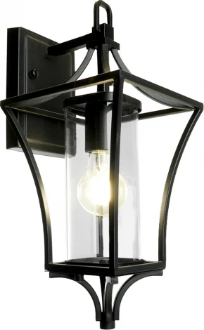 Настенный уличный фонарь Feron Милан 51269 (220V, IP44)