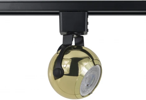 Трековый светильник ЭРА TR35-GU10 GD (220V, шар)