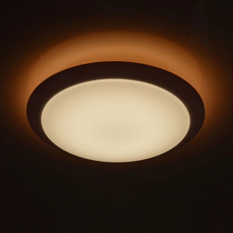 Потолочный светильник MW-Light Ривз 674014101