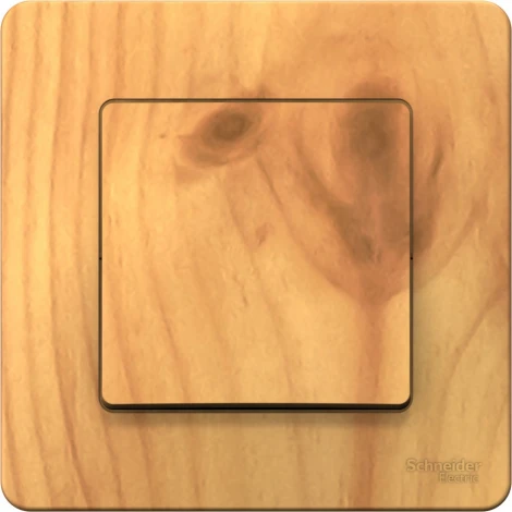 Выключатель встраиваемый одноклавишный (ясень) Systeme Electric Blanca BLNVS010605