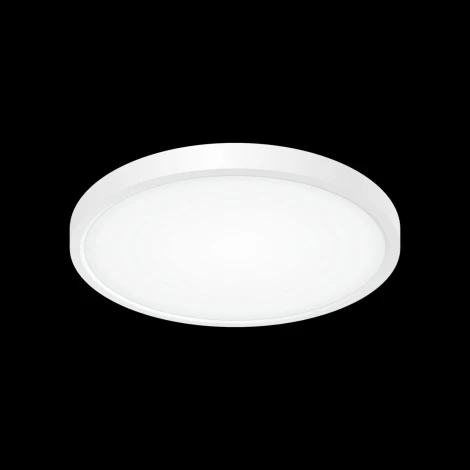 Потолочный светильник круглый Citilux Бейсик CL738240V (LED, 220V, IP40)