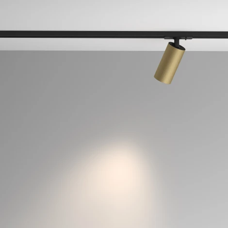 Трековый светильник однофазный 220V Maytoni Artisan TR089-1-GU10-BMG (круглые)