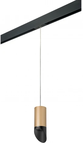 Трековый светильник однофазный 220V Lightstar Rullo PRORP44037 (круглые)