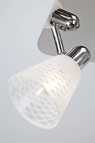 Спот Eurosvet Organic 20053/4 хром