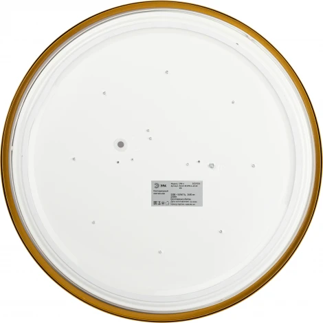 Потолочный светильник светодиодный ЭРА Relict 38 SPB-6-40 4К MG