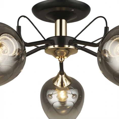 Потолочная люстра Wedo Light Isora 66606.01.69.05