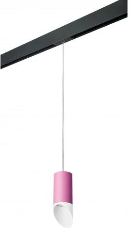 Трековый светильник однофазный 220V Lightstar Rullo PRORP43236 (круглые)