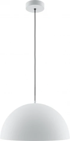 Подвесной светильник Maytoni Basic colors MOD168PL-01W (220V, на проводе)
