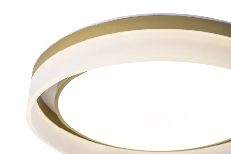 Потолочный светильник круглый Zortes Adel ZRS.1200.01 (LED, 220V, круглые)