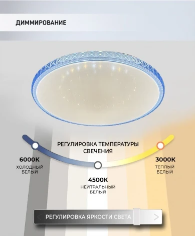 Потолочный светильник Seven Fires Эйри 48013.45.72.77BL