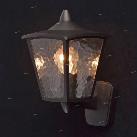 Настенный фонарь уличный DeMarkt Телаур 806020201