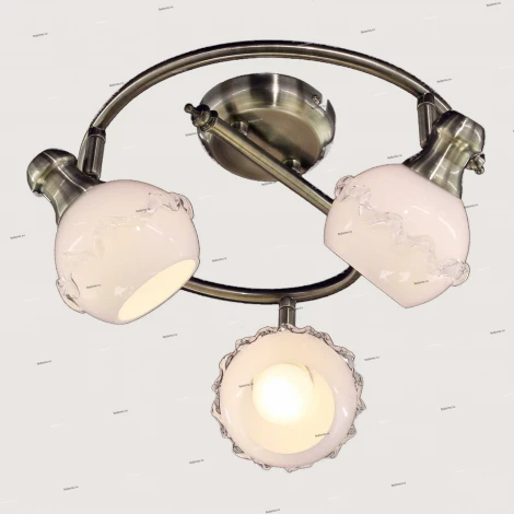 Спот Citilux Кампана CL540531