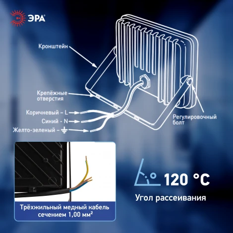 Прожектор уличный светодиодный ЭРА LPR-06 LPR-062-0-65K-100