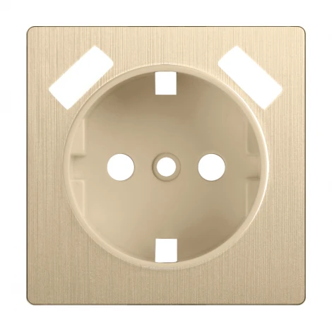 Накладка для розетки USB (шампань рифленый) Werkel W1179510 (a051422)
