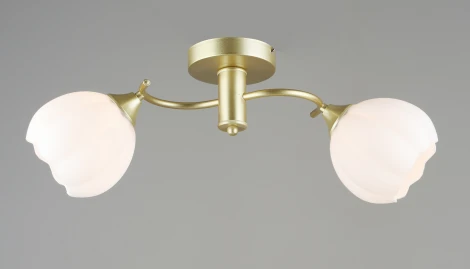 Потолочная люстра Мелодия Света SL1N SL4840-2 GD 000066031