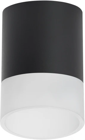 Светильник точечный накладной Lightstar Rullo R348781 (220V, круглые)