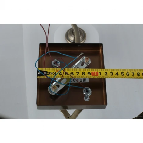 Потолочная люстра Omnilux Pisticci OML-55317-02 (220V)