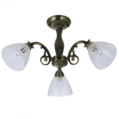 Потолочная люстра на штанге Reluce 72447-0.3-03