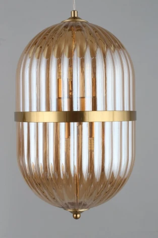 Подвесной светильник Aployt Ludovica APL.860.06.30 (220V, на проводе, круглые)