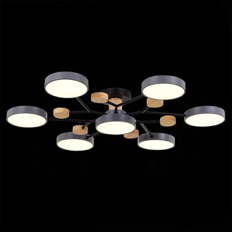 Потолочная люстра на штанге Evoluce Faema SLE6006-702-07