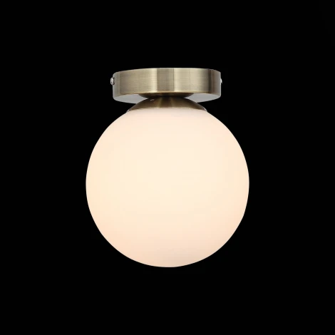 Настенно-потолочный светильник ST Luce Acini SL717.301.01