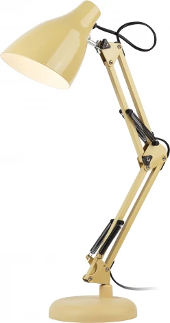 Офисная настольная лампа ЭРА N-123-Е27-40W-BG (220V, выключатель)