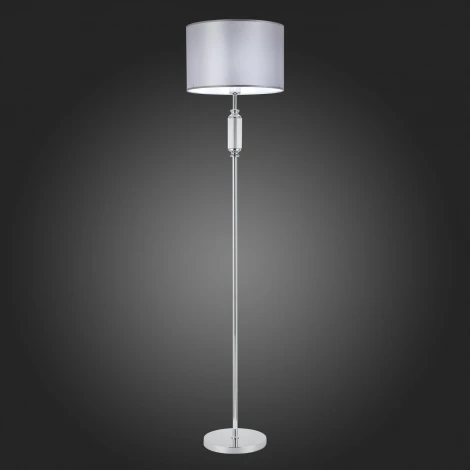 Торшер Evoluce Snere SLE107205-01