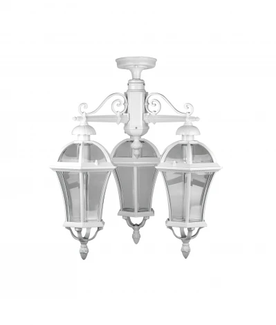 Потолочный светильник уличный Oasis Light ROMA L 95270LA/3 W (220V, IP44)