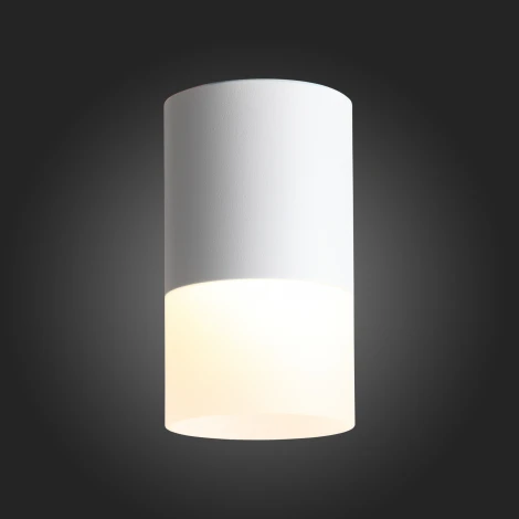 Накладной точечный светильник ST Luce Ottu ST100.502.10 (LED, 220V, круглые)