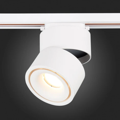 Трековый светильник ST Luce St652 ST652.536.12 (LED, 220V, круглые)