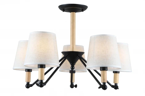 Потолочная люстра Rivoli Buono 2048-305