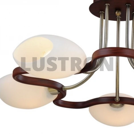 Потолочная люстра ST Luce SL196 SL196.302.05