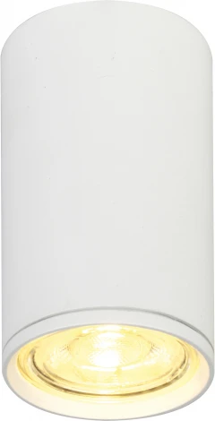 Накладной светильник 20001 20001SMU/01 SWH (220V, круглые)