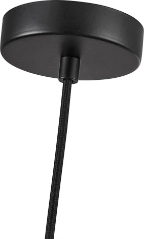 Подвесной светильник Favourite Plat 4460-1P