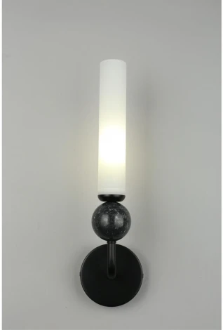 Бра Aployt Gienia APL.339.01.01 (220V)