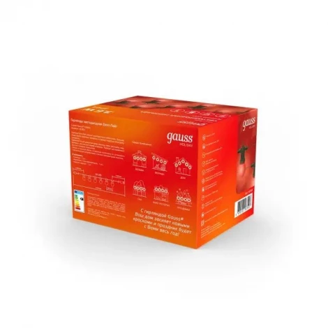 Гирлянда Gauss Holiday HL064