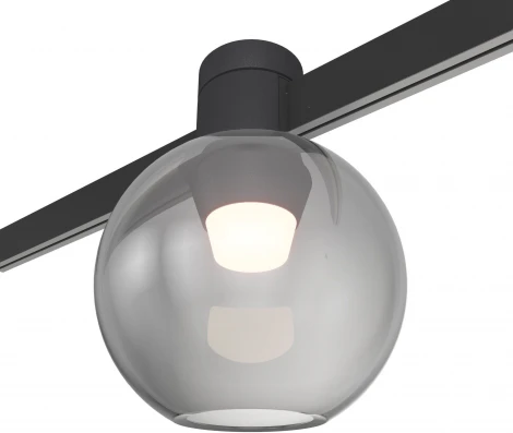 Трековый светильник магнитный ST Luce Farm ST819.446.03 Черный LED 1*3W 4000K (24V, шар)