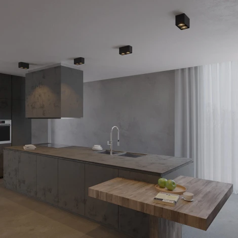 Накладной светильник LED SP-CUBUS-S195x100-2х8W Day4000 (BK, 45 deg, 230V) (Arlight, IP20 Металл) 036056