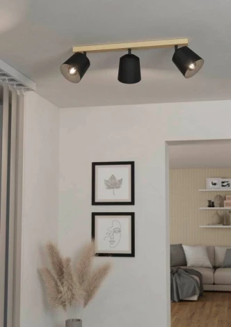 Спот Eglo COTORRO 900433 (220V)